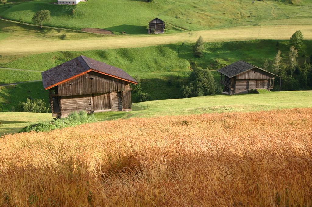 Bauernhof Im Wiesengrund Maria Luggau Bagian luar foto